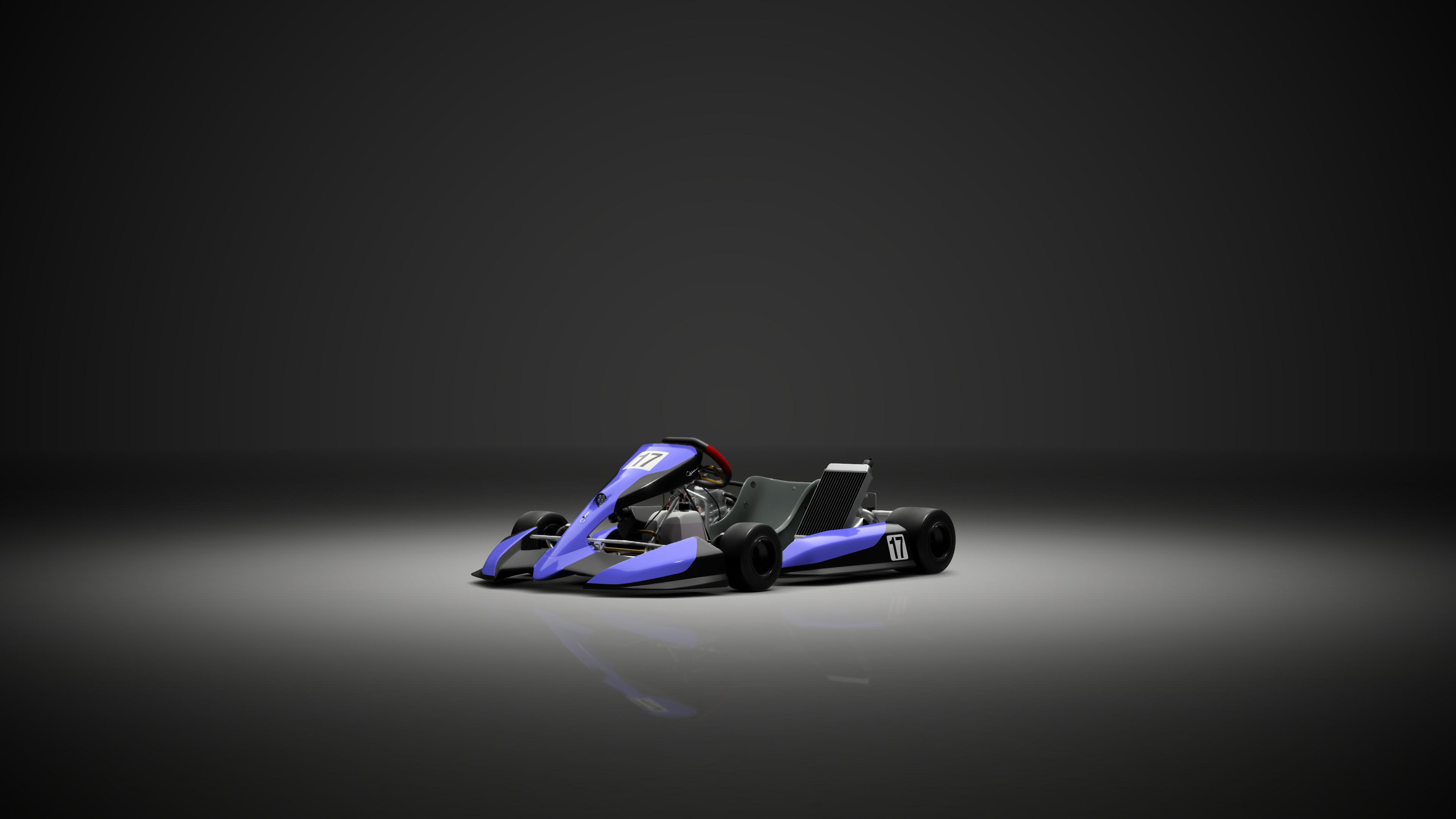 Gran Turismo Racing Kart 125 Shifter - Photo 2